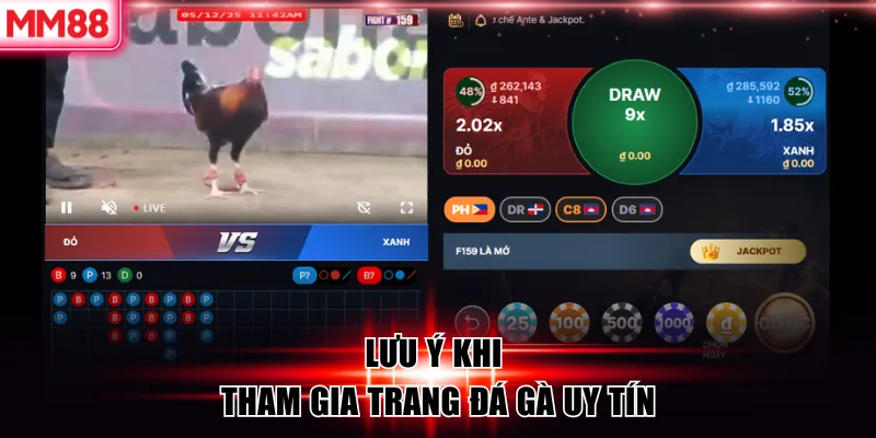 Top 6 Trang Đá Gà Uy Tín 2026 – Chọn Trang Cược An Toàn Cùng MM88 9 Lưu ý khi tham gia trang đá gà uy tín